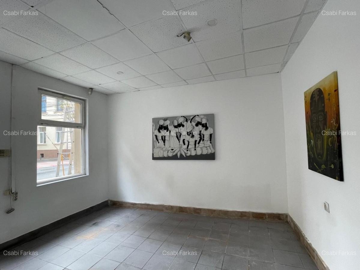 Casa cu 2 camere, 48mp, central - 3