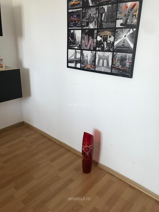 Drumul Taberei Raul Doamnei, mobilat modern si utilat complet - 3