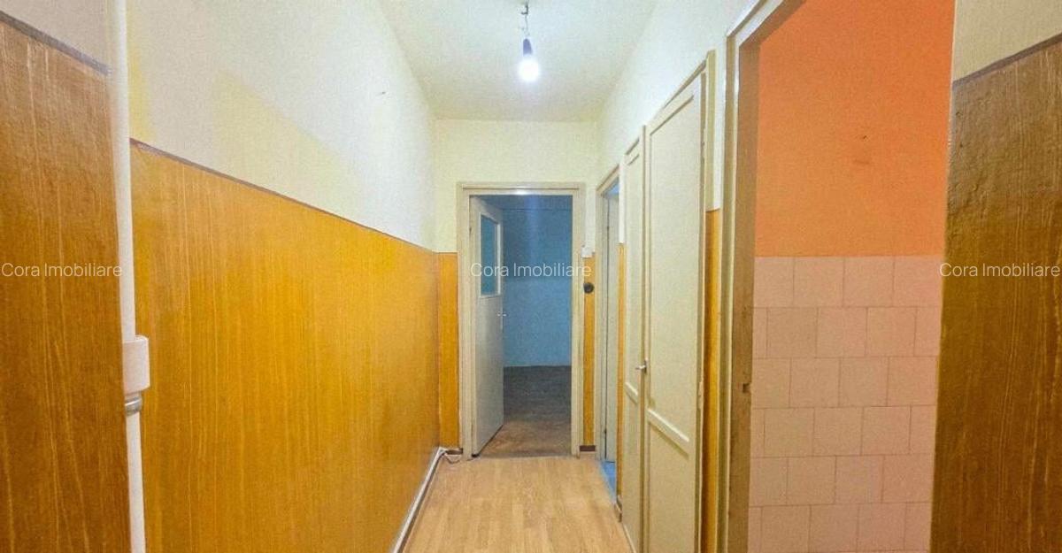 Ap 3 cam tip T de vanzare str Razboieni - 8