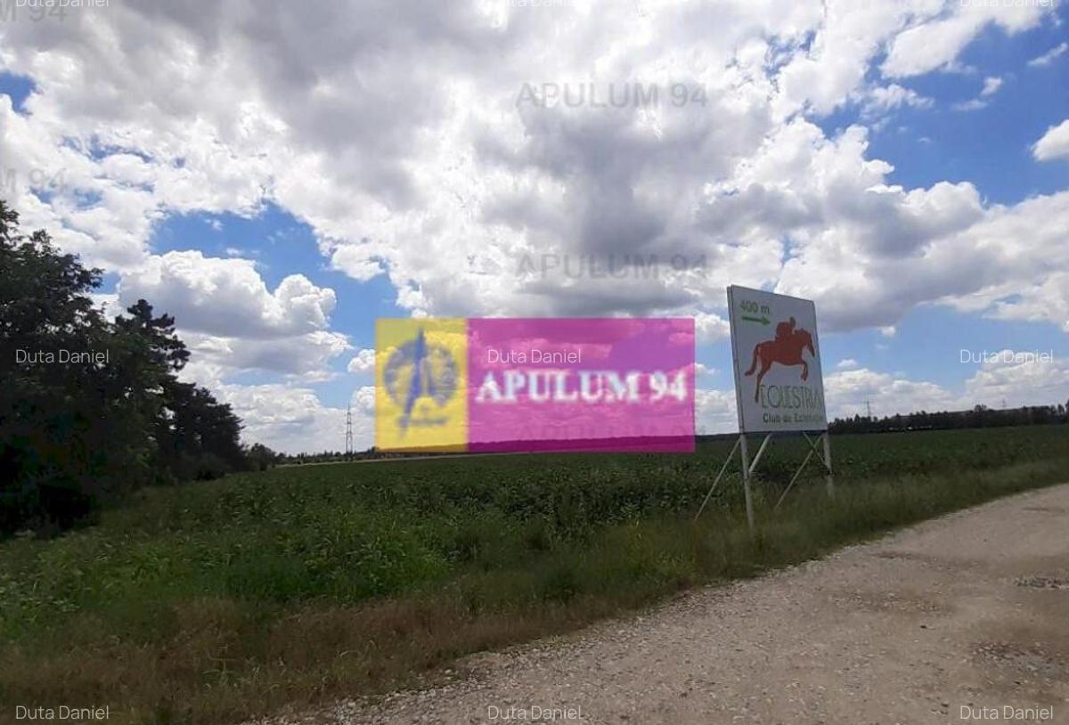 Teren 715mp in Snagov langa Equestria - 14
