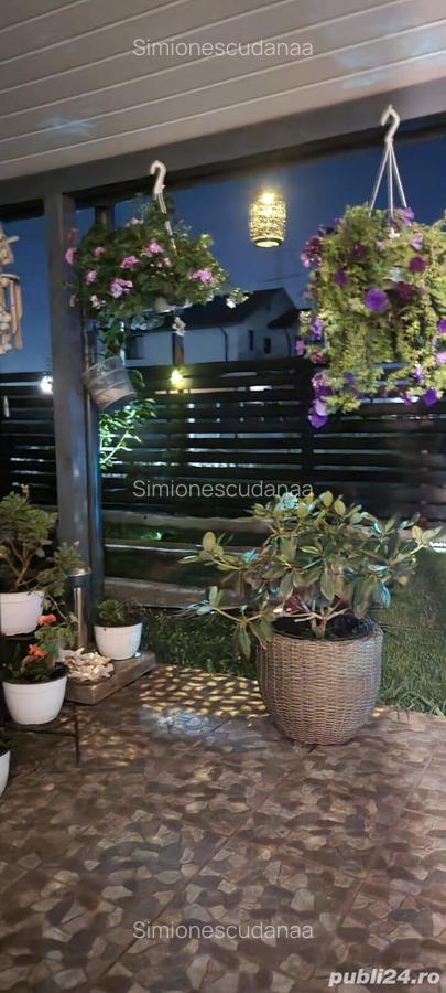 Casa cu 3 camere - 2