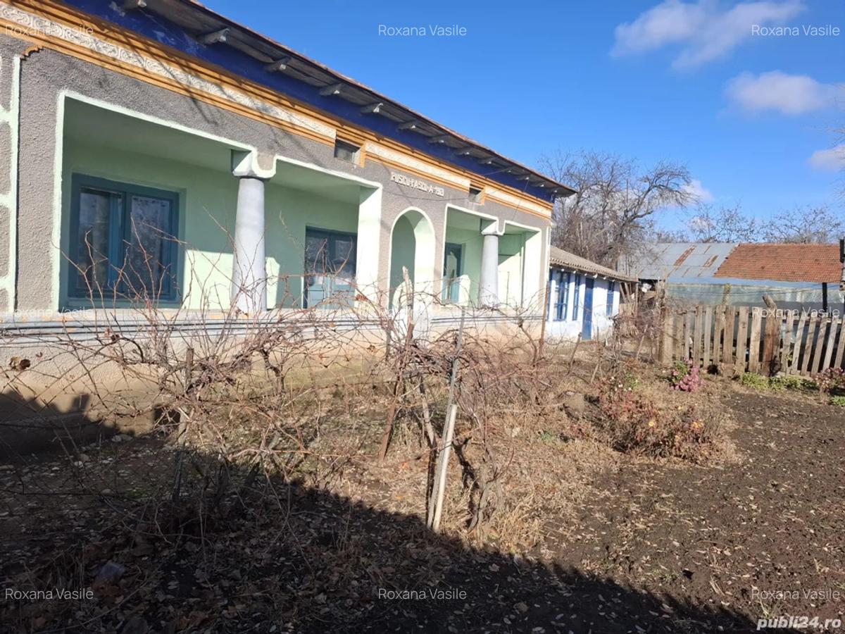 Casa batraneasca de vanzare in sat Segarcea Deal,jud Teleorman - 5