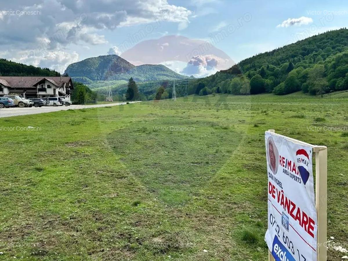 OPORTUNITATE! Teren 5,000 mp Vama Buzaului / Drumul DJ103A - 6