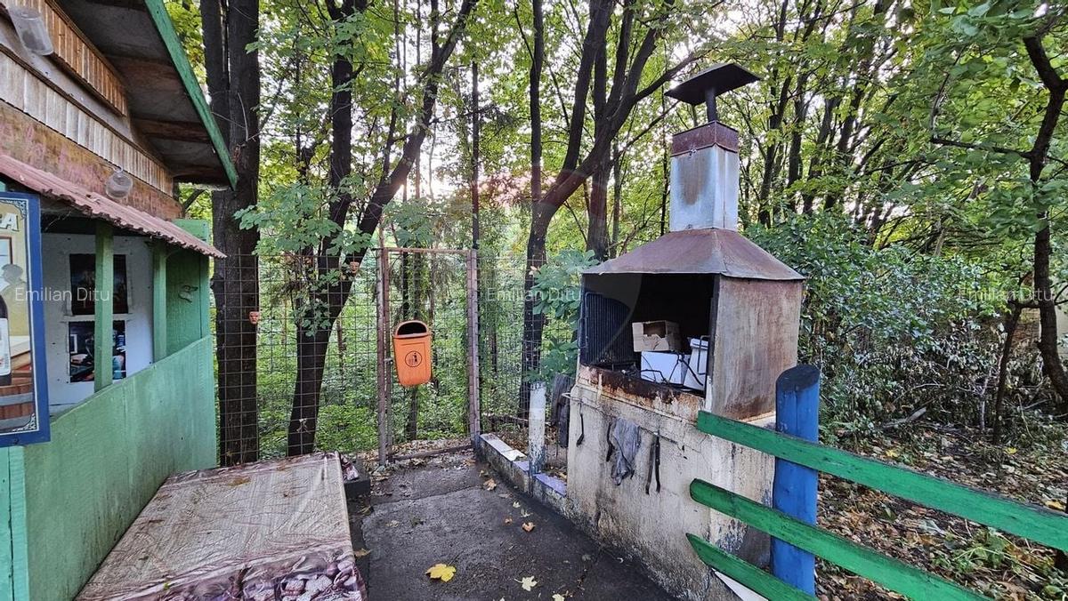 Casă individuală cu 4 camere în George Enescu - 22