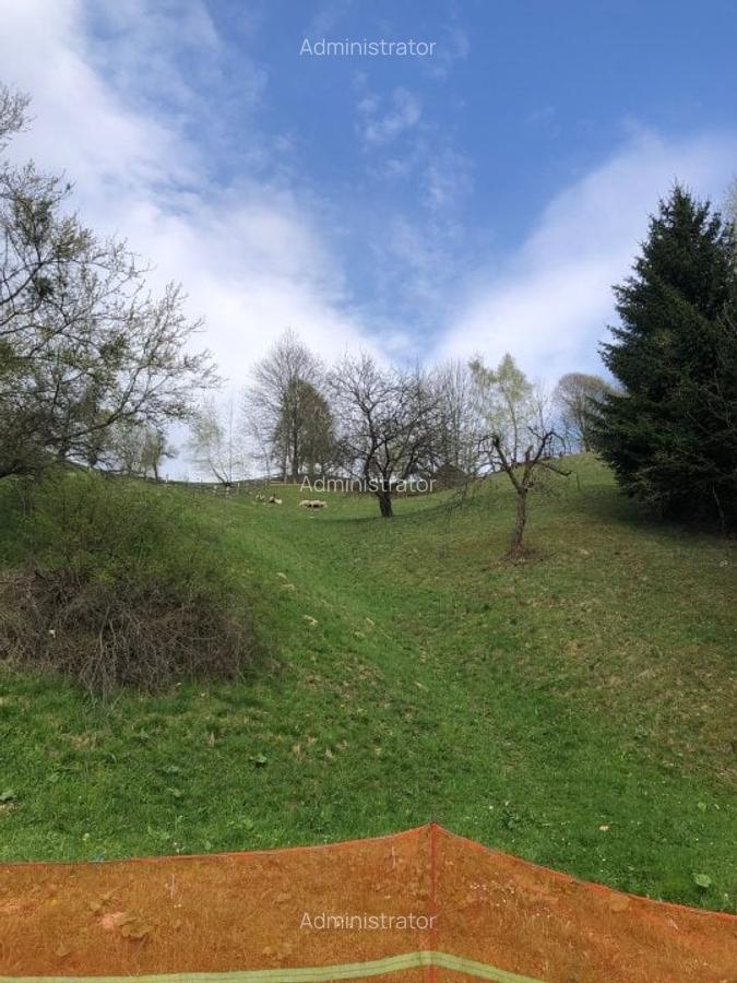 Teren investiție, 3879 mp în Bran - 2