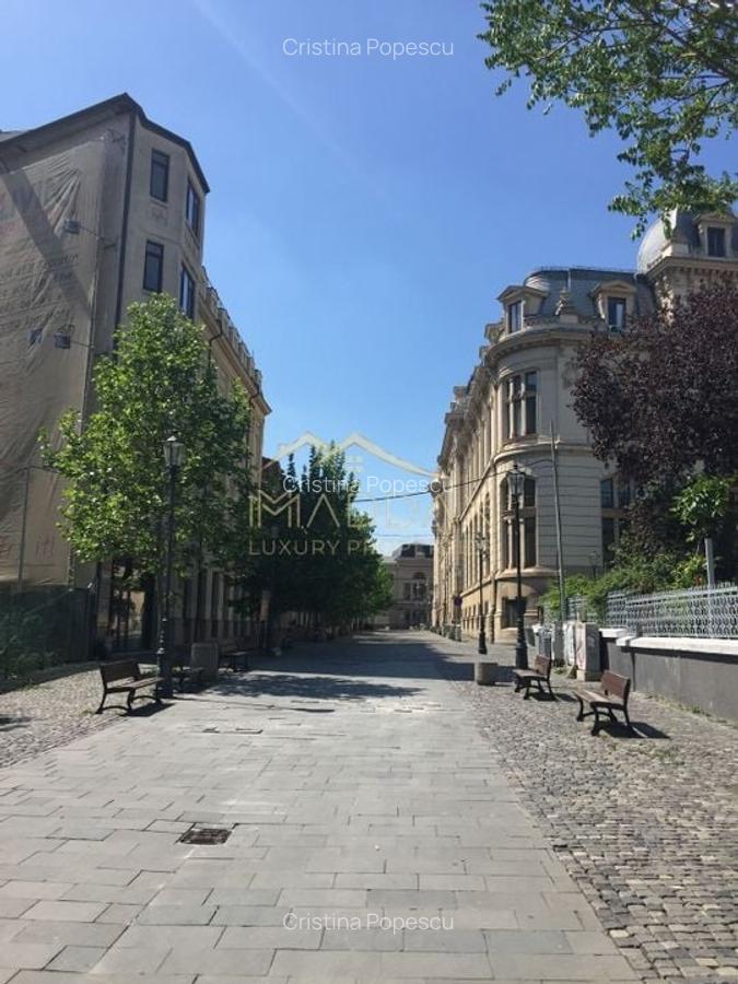 Apartament 5 camere**Oportunitate investitie**Caru"cu Bere//Centrul Istoric - 21