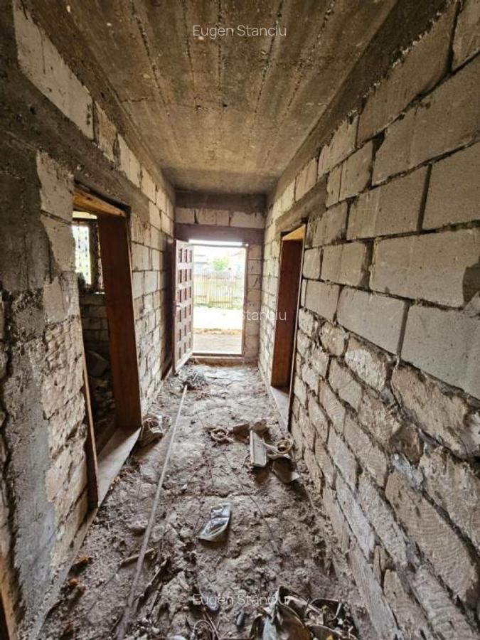 Oportunitate de Investitie - Teren si Imobil in Sinesti, Judetul Ialom - 7