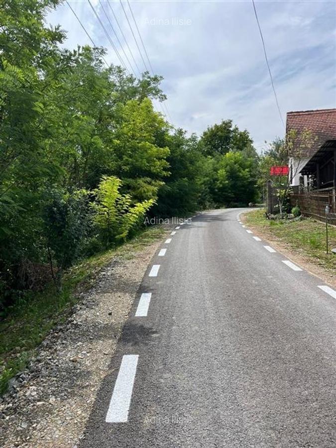 RECO Casa batraneasca cu teren generos la Lupoaia -Holod - 21