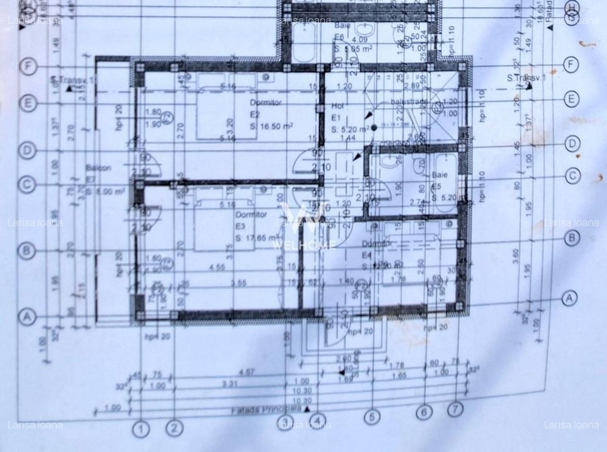 Casa Selimbar - Curte 500 mp - 4