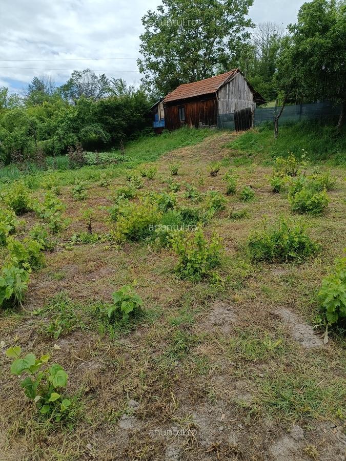 Dolj Casa cu teren generos (10.300 mp) in sat Ungureni - 5