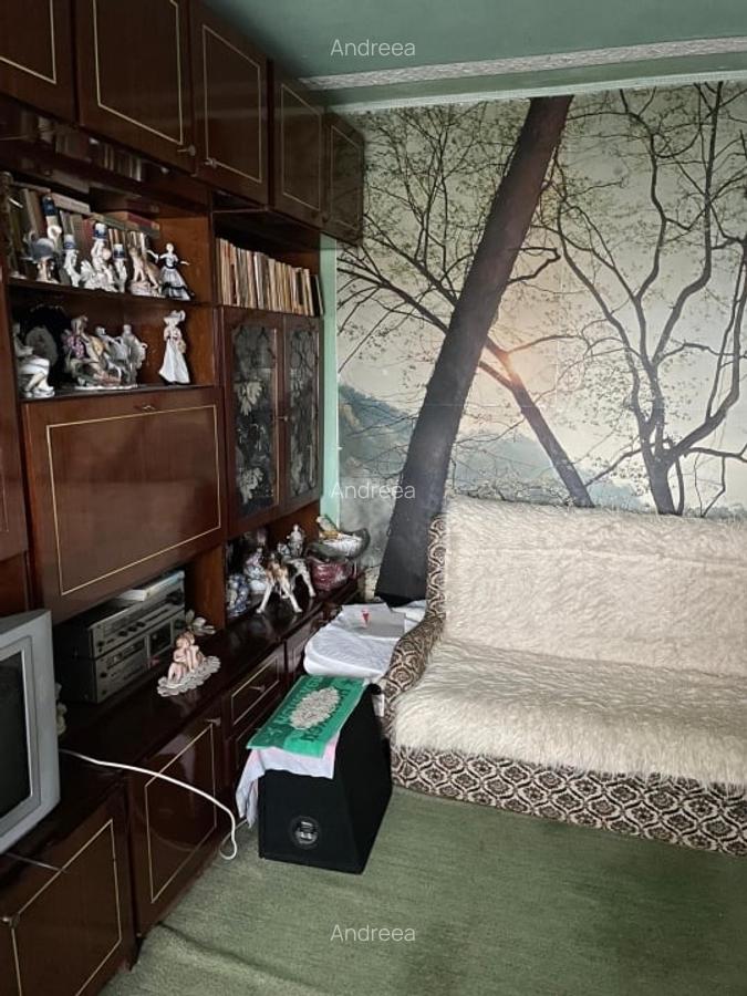 Apartament 3 camere strada Lugojului - 11