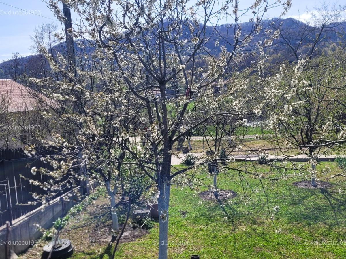 Vand casa la munte ,cu utilitati(apa,en.el)amenajata semirustic,panorama super.! - 8 Vand casa la munte ,cu utilitati(apa,en.el)amenajata semirustic,panorama super.! - 8