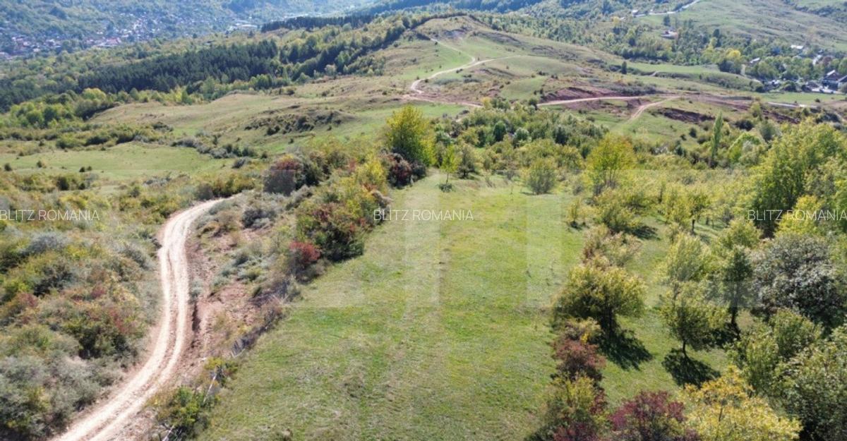 Teren extravilan, 41.631,00 mp, zona Pietrosita - 3