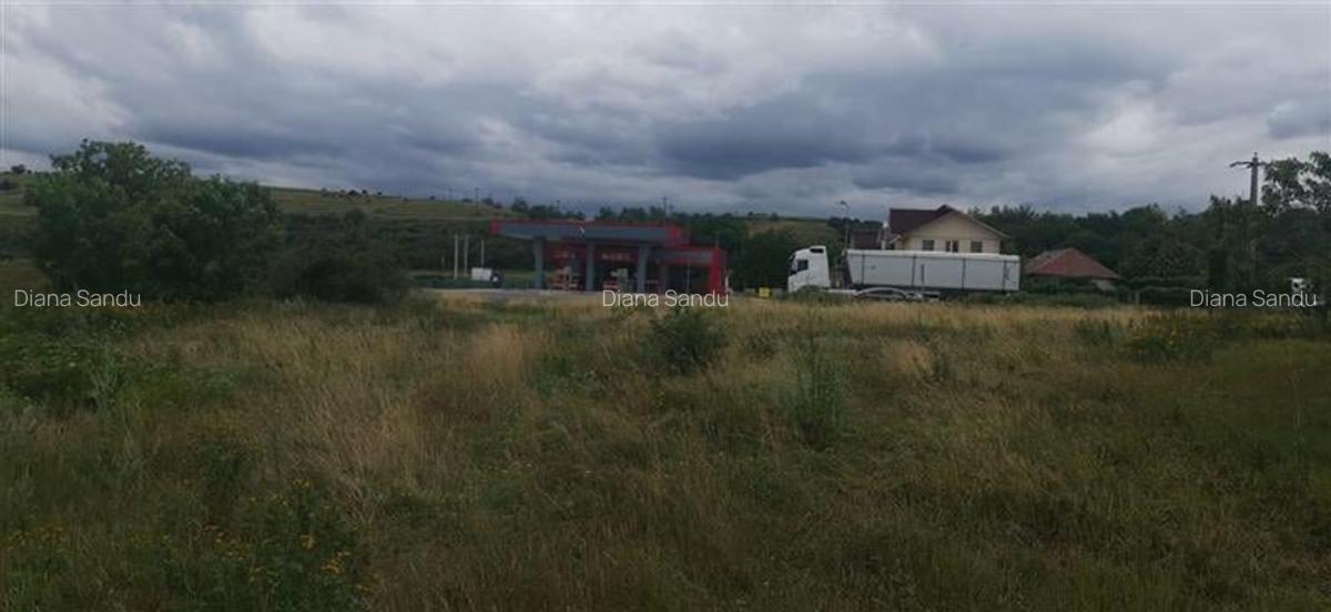 Teren extravilan 10400 mp, cu deschidere de 33 ml, zona Racaciuni - 8