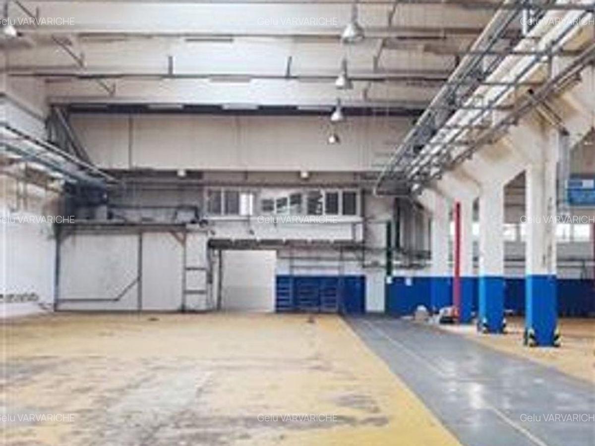 Hale in parcul Roman sau tractorul - 4