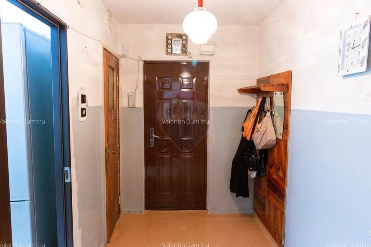 Apartament cu 4 camere de vanzare in zona Drumul Taberei - 10