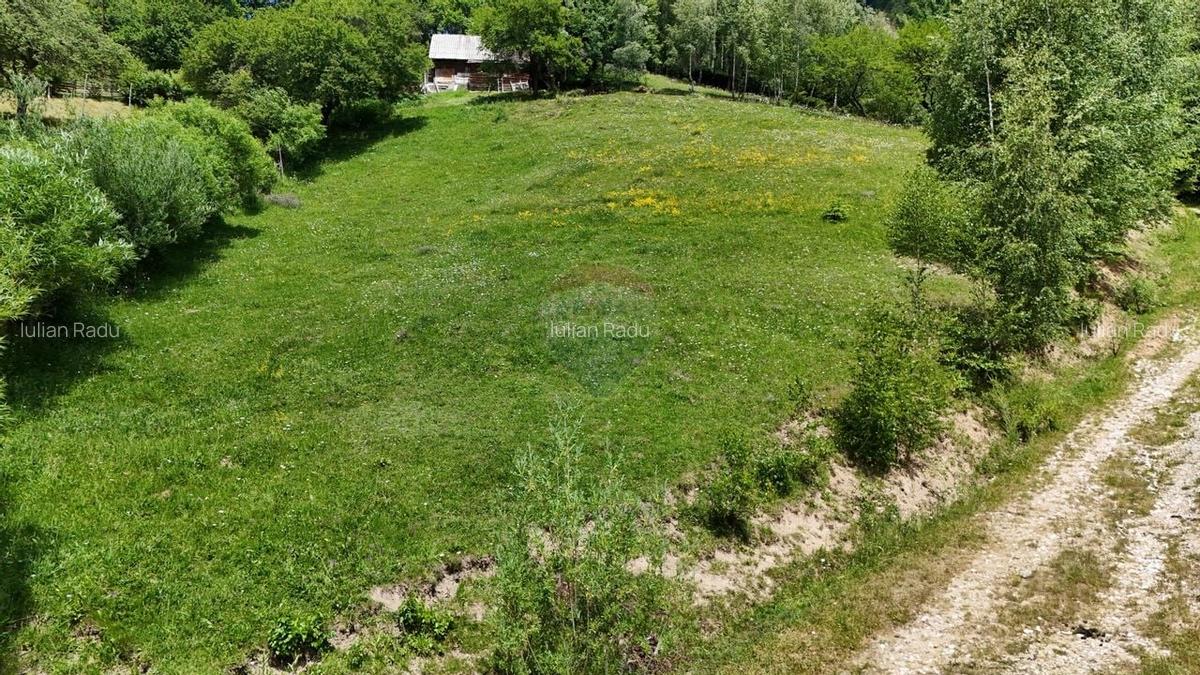 Comision 0% | Teren intravilan 2068 mp | Magura | Piatra Craiului - 2