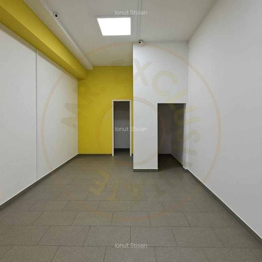 Spatiu Stradal Cu Vad Format Banat- Razboieni - 3