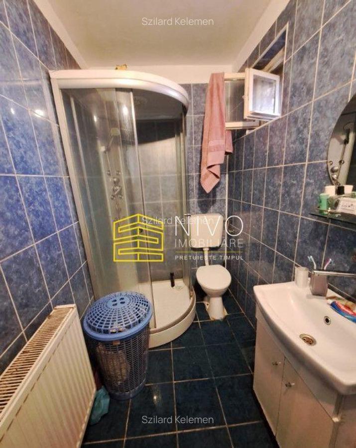 Casa singur in curte Santana de Mure? - 6