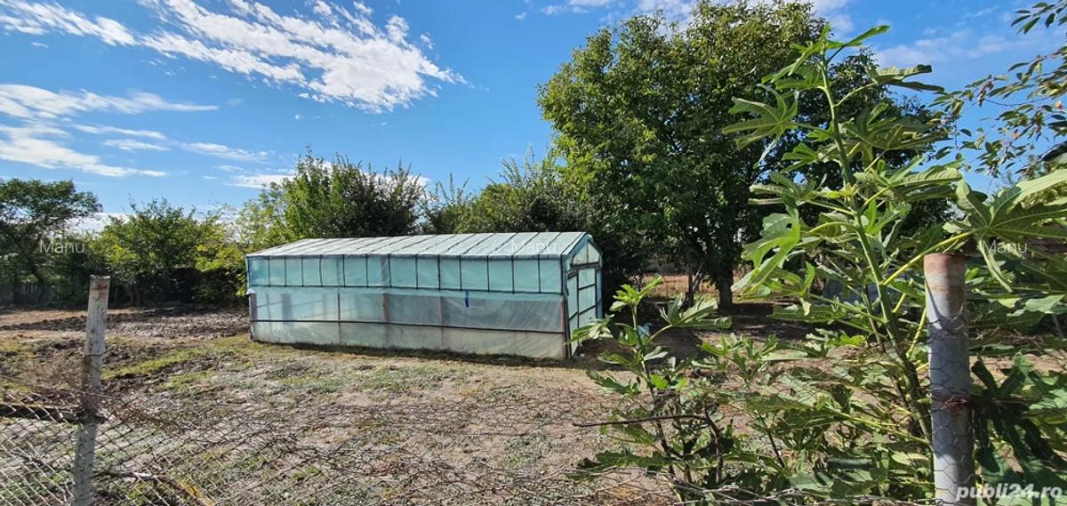 Se vinde casa in jud. Teleorman - 3