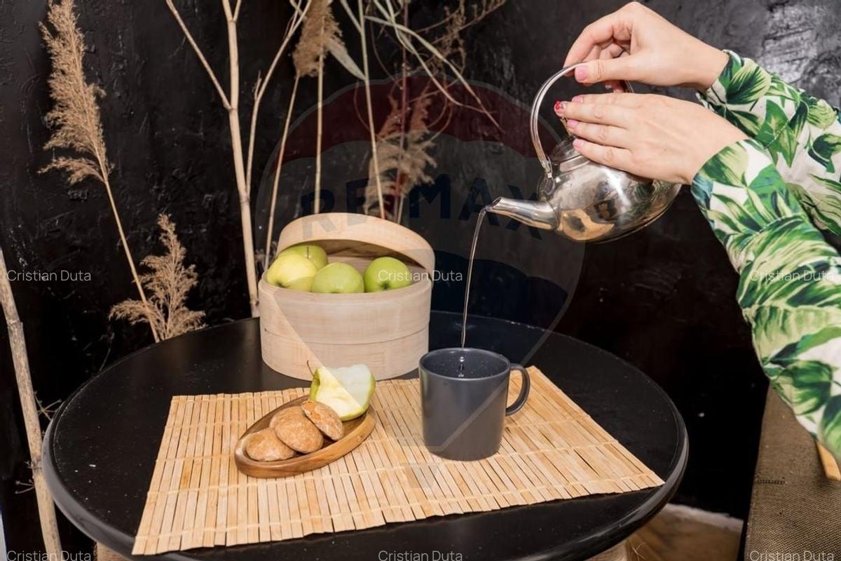 Apartament cu 2 camere de inchiriat in zona Ferdinand - 18