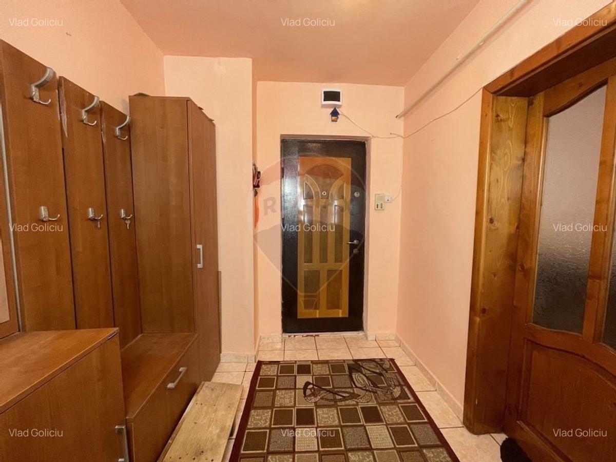 Apartament cu 2 camere in Sagului - 1