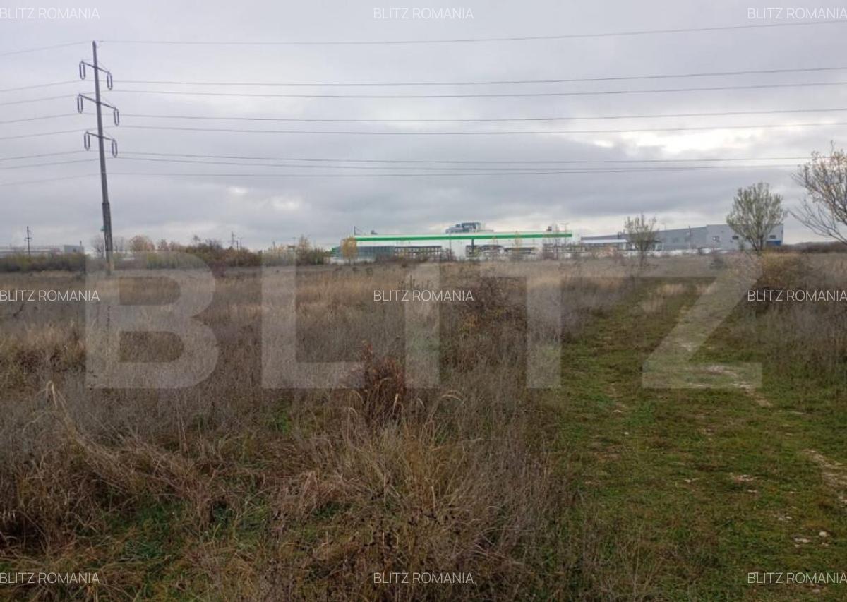 Teren 9.000 mp in Priseaca Intravilan + Extravilan, apr - 2