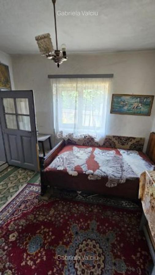 Casa la curte lângă balta Mostistea - 4