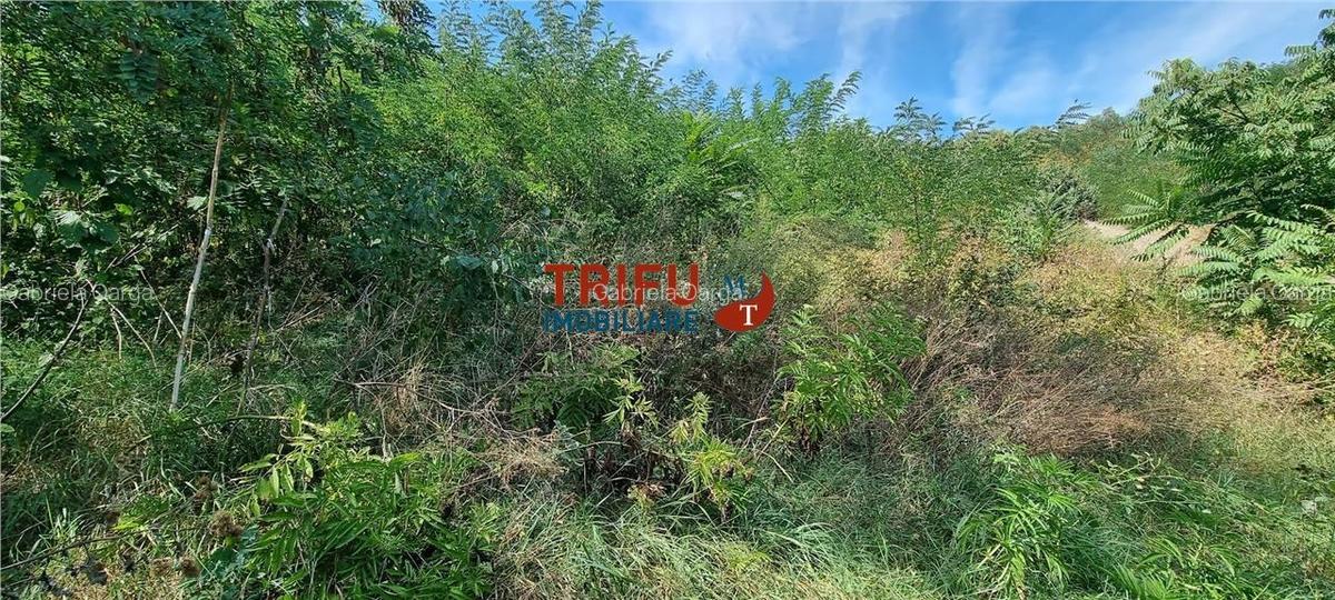 Teren intravilan de vanzare pe Valea Popii 1250mp - 2