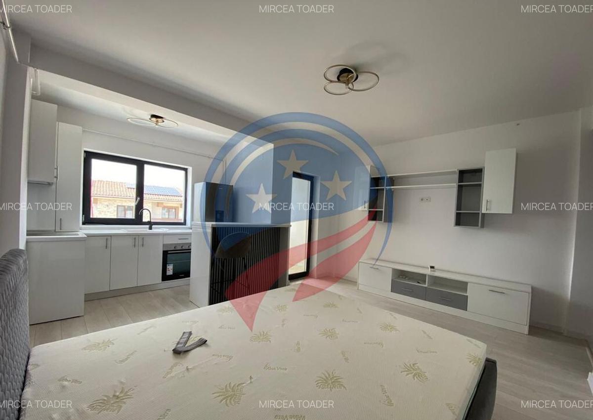 CHIRIE GARSONIERE NOI ZONA FORD - 2