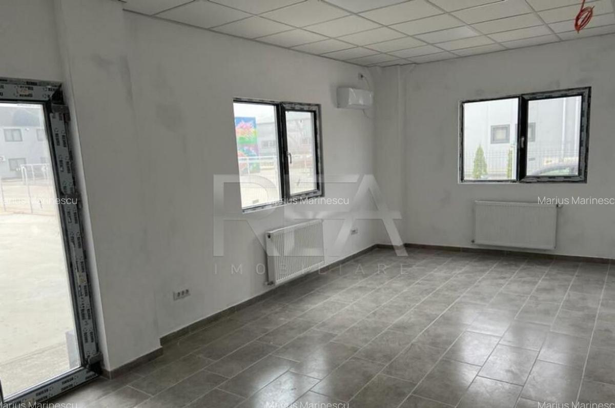 Hala de inchiriat in Domnesti / Centura - 4