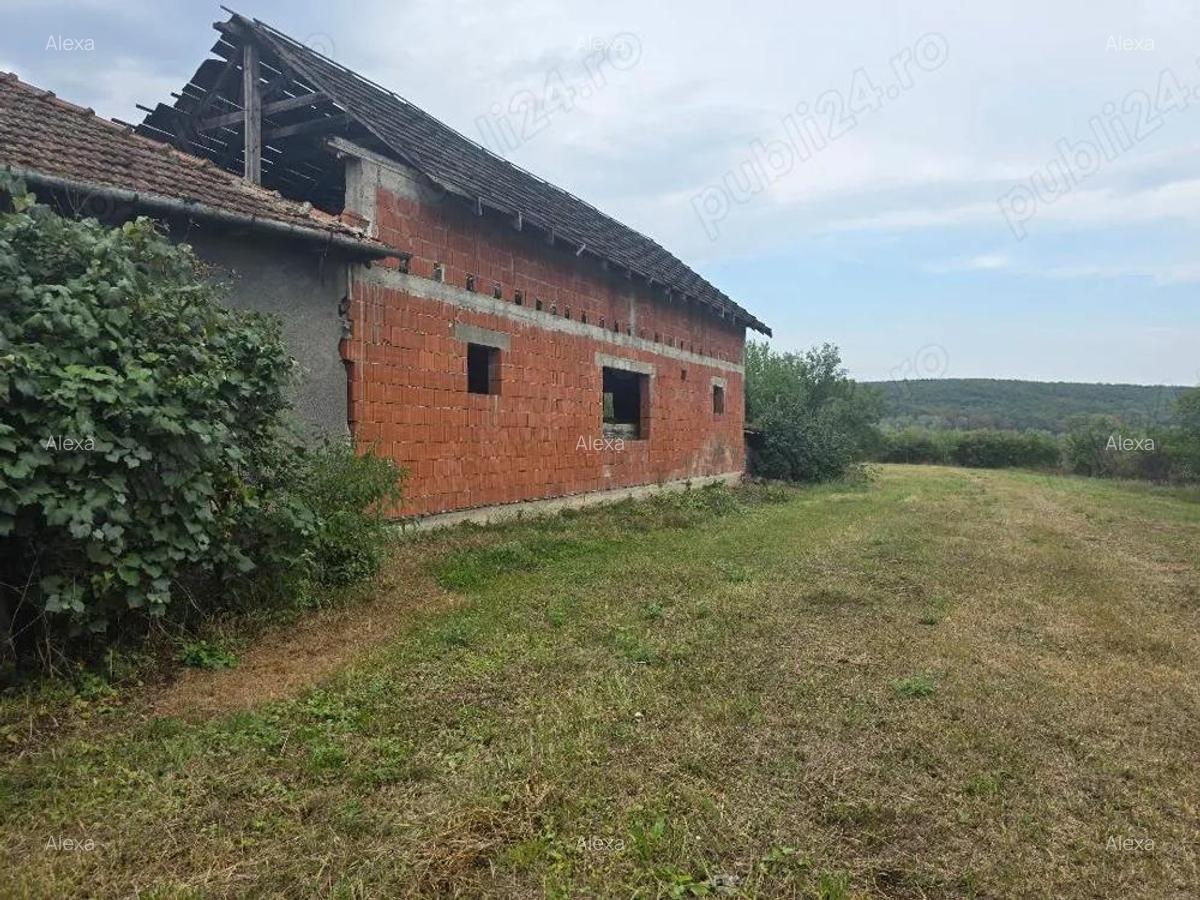 Vand casa loc SUMUGIU, sc 200 mp , parte casa noua la rosu , teren 2670 mp, la sosea, front mare - 13