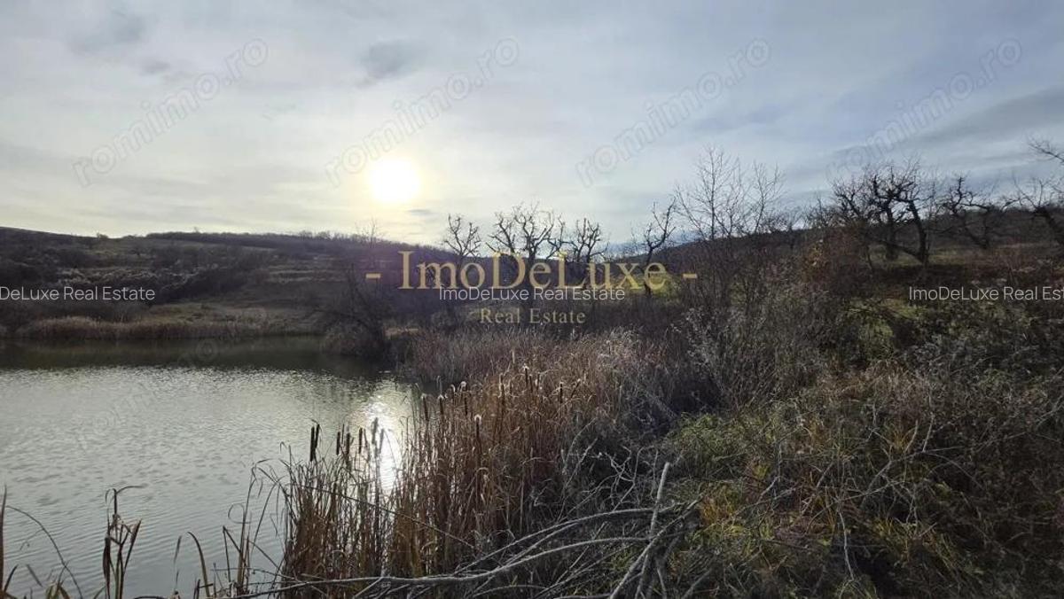 Teren extravilan langa lac, 8500mp, priveliste, acces, utilitati, zona Baciu - 7