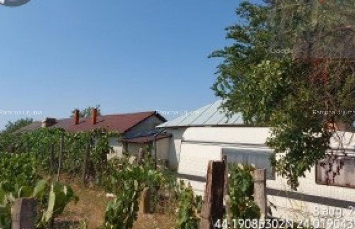 Teren intravilan Leu, Jud. Dolj, - 7