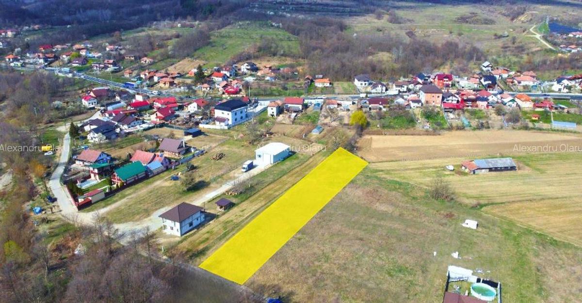 BUDESTI - TEREN 2550 MP - 7