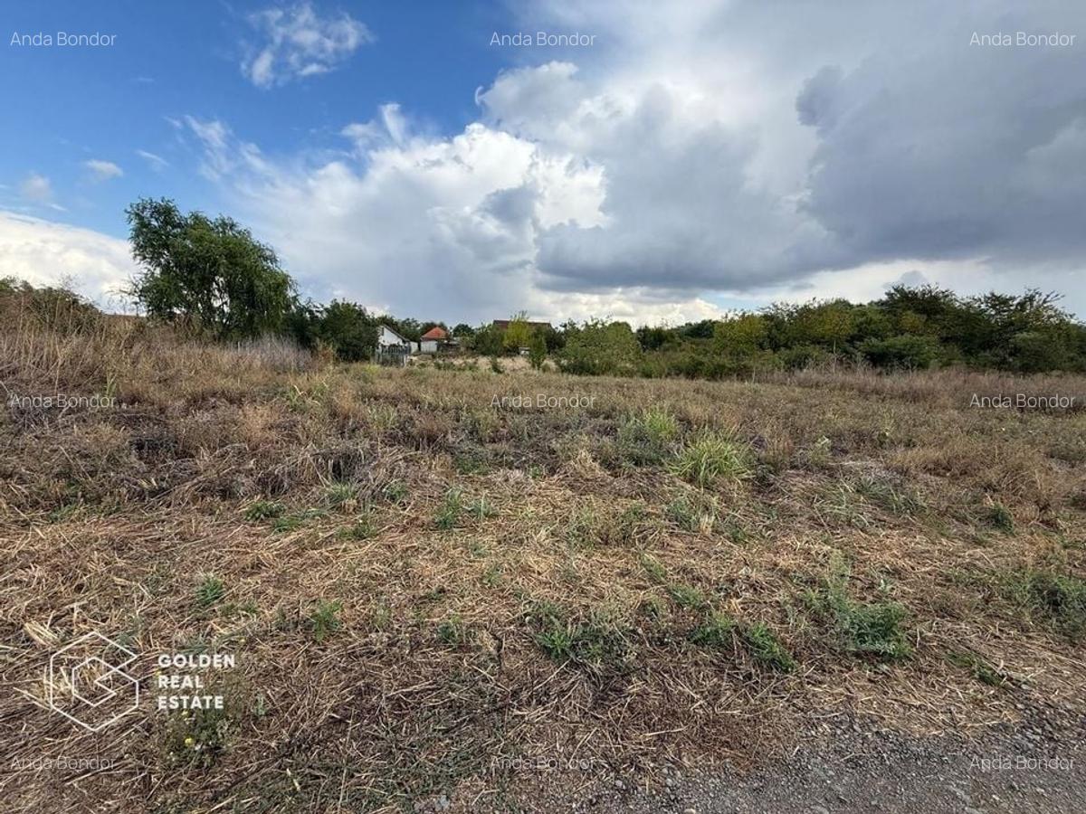 Teren intravilan 538 mp, curti constructii, Sacalaz, Tims - 2