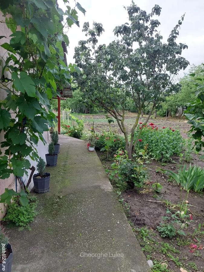 Vand casa la ?ara, Rasmire?ti Teleorman 46000e - 8