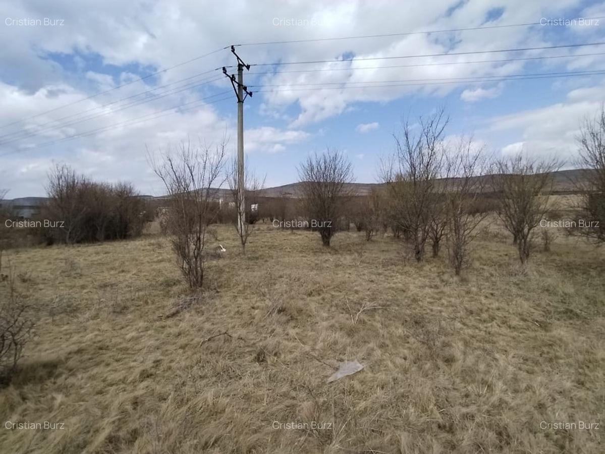 Teren de vanzare, 1.3HA., utilitati, acces din DN - 3