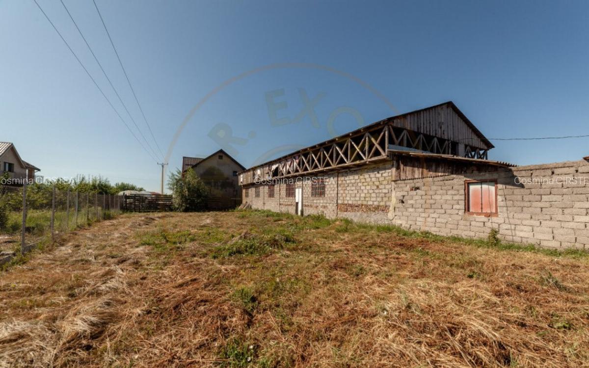 Casa pentru oameni gospodari - Bradu - 15 minute de Pitesti - 10