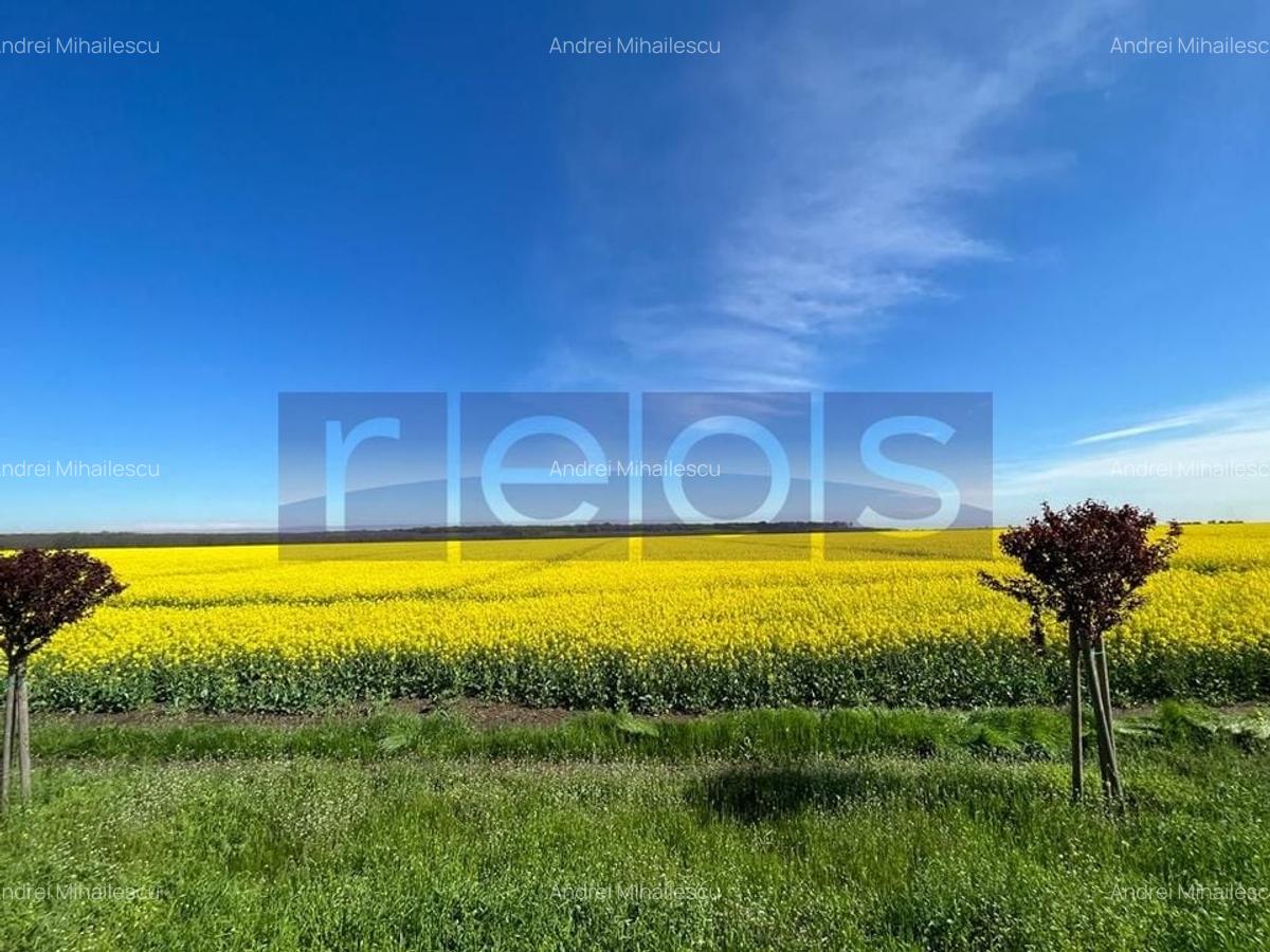 Teren 6.5HMakita Branesti deschidere 65 mp - 3