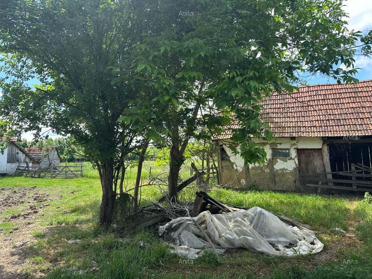 Casa de vanzare targoviste - 7