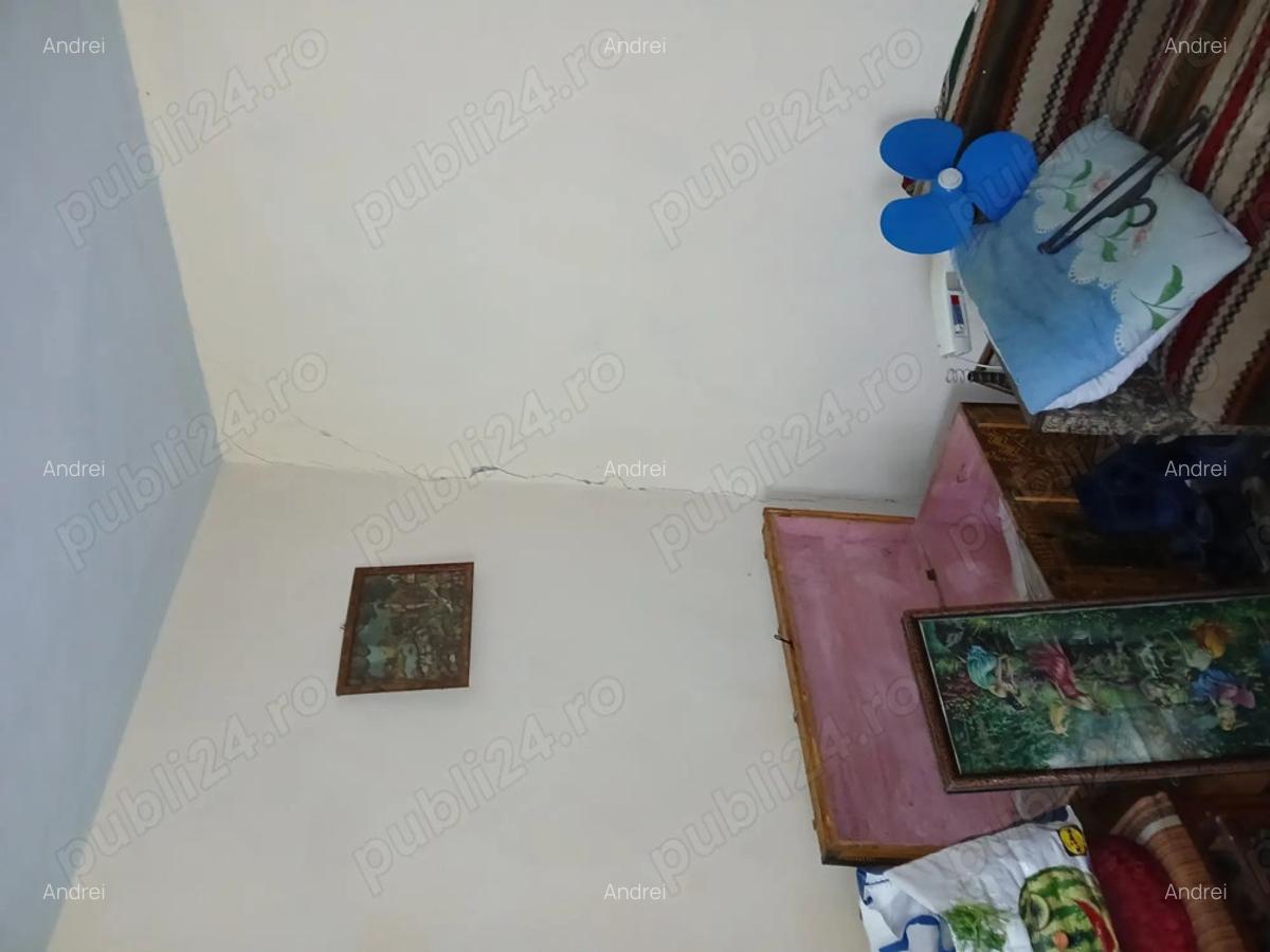 Casa de vanzare Calomfiresti - 6