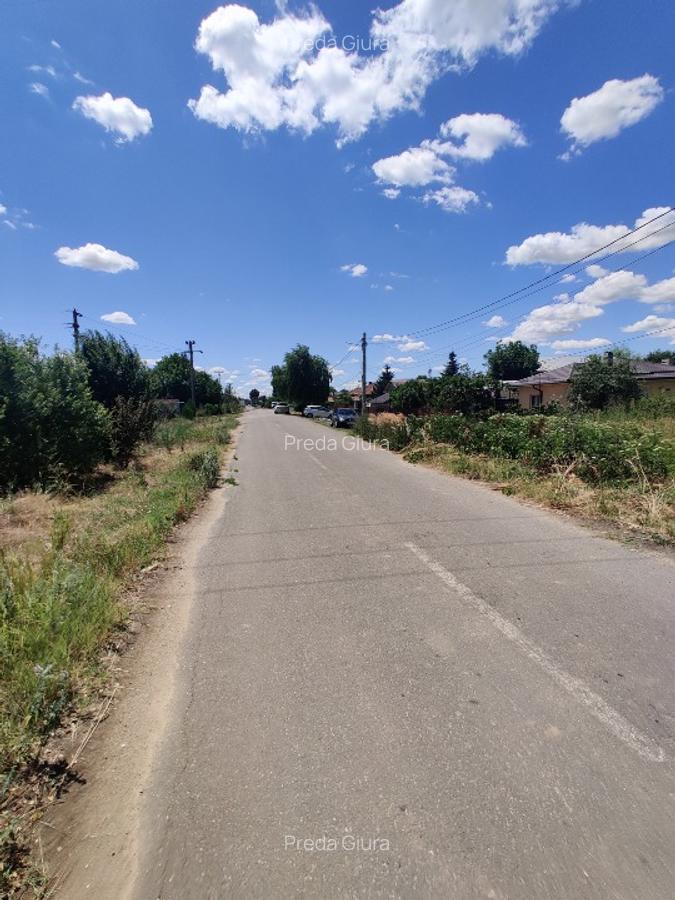 Teren, Pădurea Scrovistea - 2