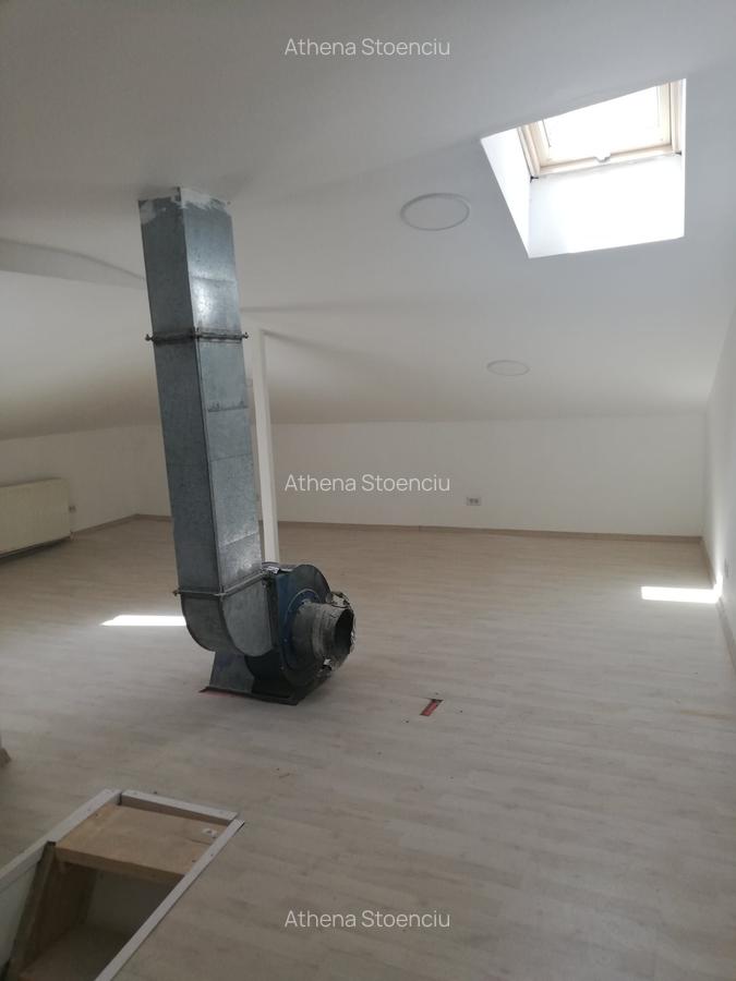 Calea Calarasi activitati comerciale diverse - 6