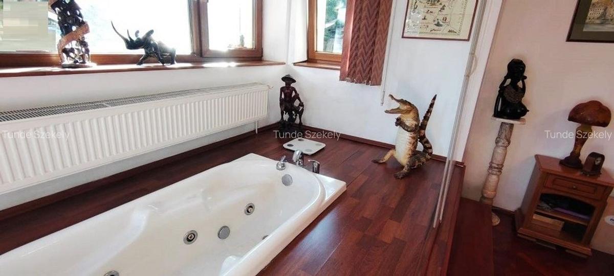 Apartament rustic, deosebit de 98 mp,  cu gradina, in Andrei Muresanu - 11