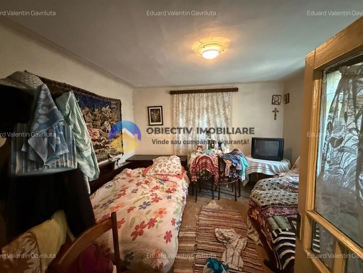 Casa batraneasca / Piatra Neamt / Pentru iubitorii de natura - 12