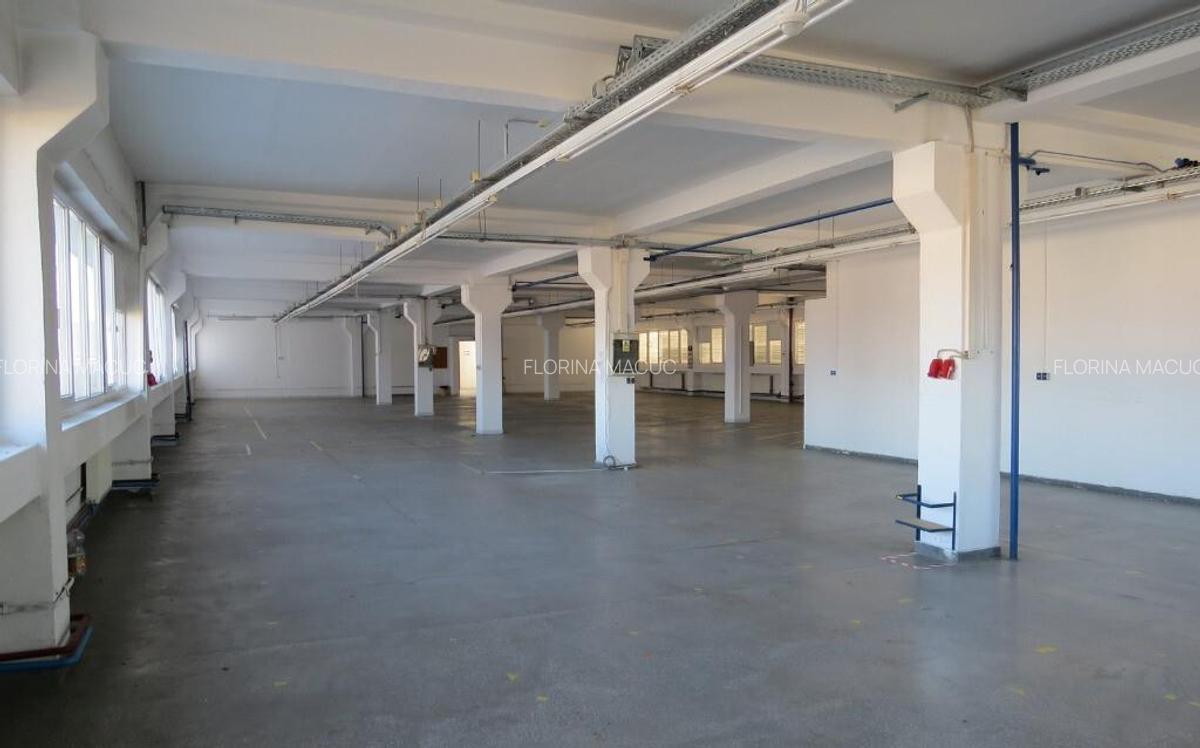 Cladire industriala in Curtea de Arges, 700000 EURO - 4