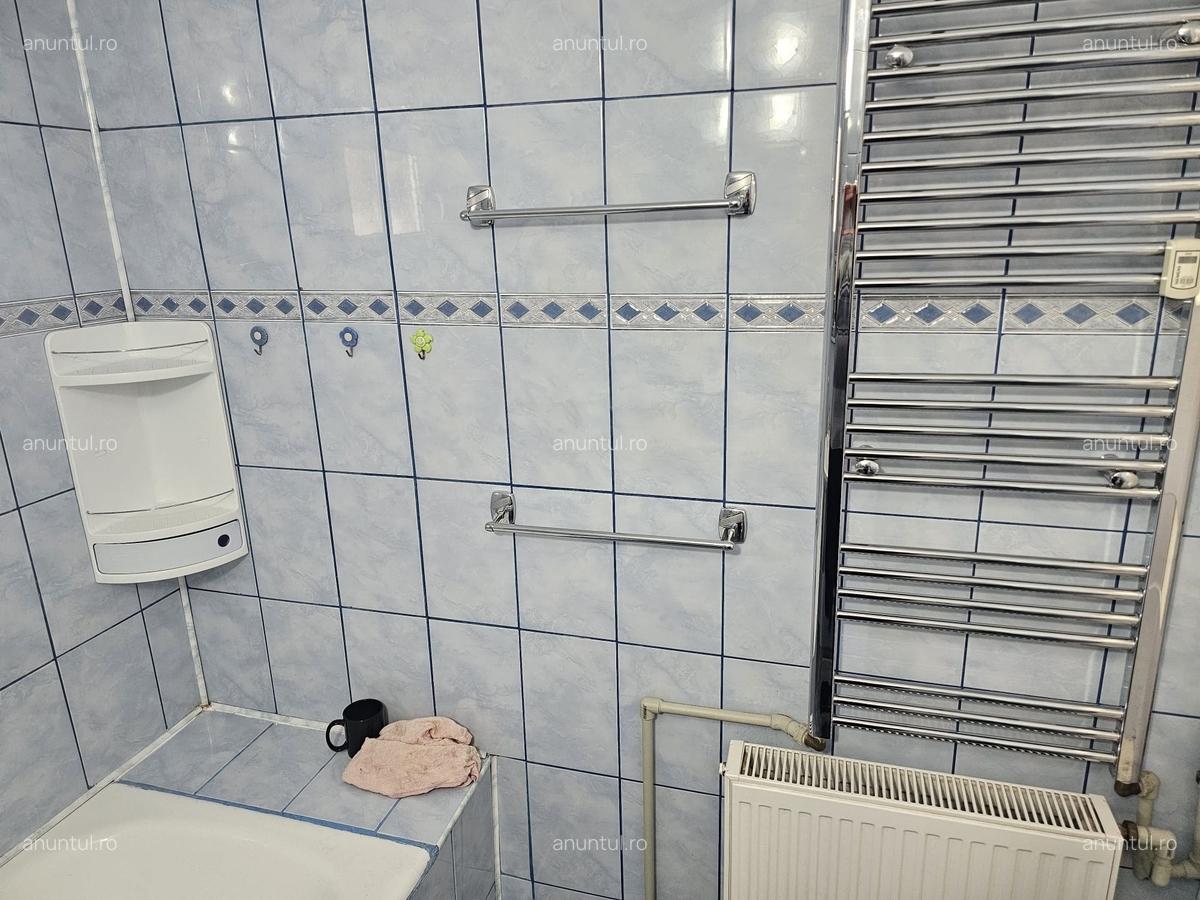 Drumul Taberei-Raul Doamnei - 7