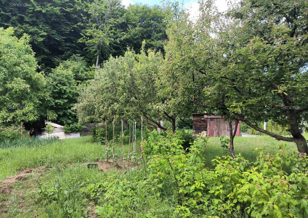 Teren intravilan Faget - 16