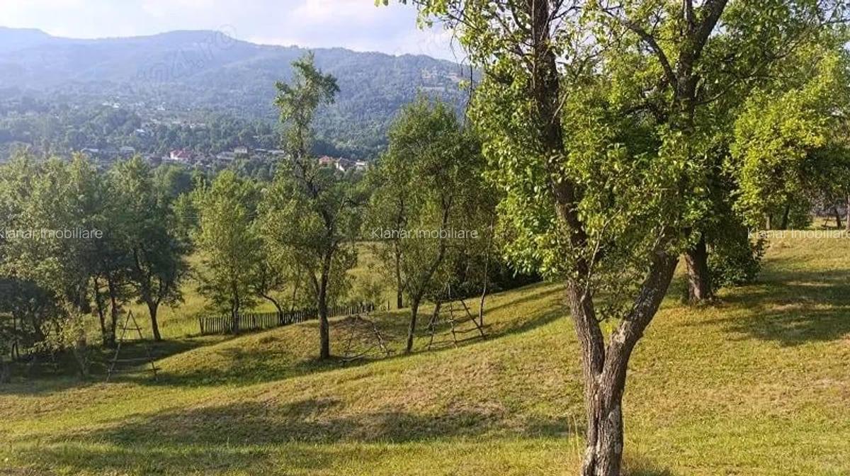 Super oferta! Teren 4874 mp in Arefu jud Arges - 7